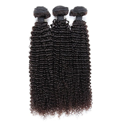 Pack of Five (5) Unit- Unprocessed Curly Vietnamsese Weft